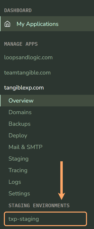 Access a staging environment panel
